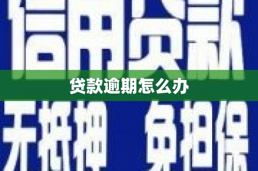 学甲贷款逾期怎么办