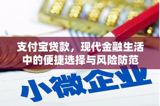 学甲支付宝贷款，现代金融生活中的便捷选择与风险防范