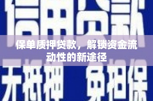 学甲保单质押贷款，解锁资金流动性的新途径