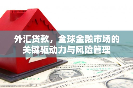 学甲外汇贷款，全球金融市场的关键驱动力与风险管理