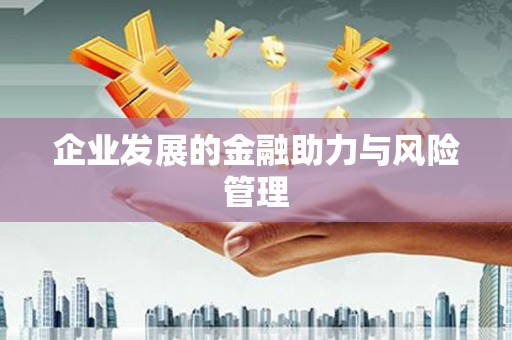 学甲企业发展的金融助力与风险管理