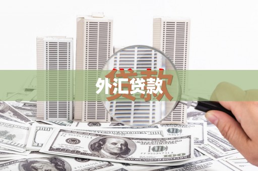 学甲外汇贷款