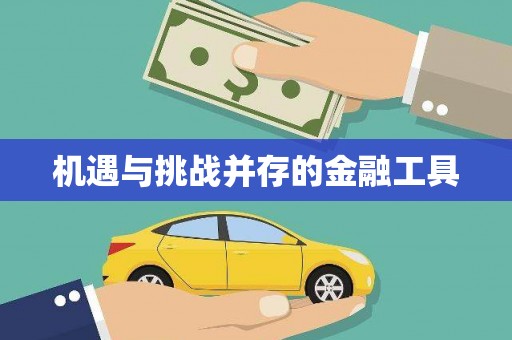 学甲机遇与挑战并存的金融工具