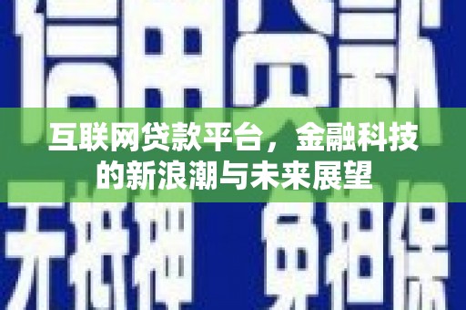 学甲互联网贷款平台，金融科技的新浪潮与未来展望
