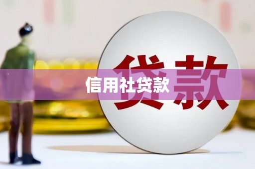 学甲信用社贷款