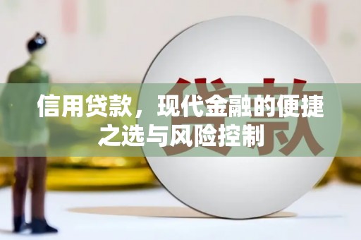 学甲信用贷款，现代金融的便捷之选与风险控制