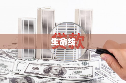 学甲生命线