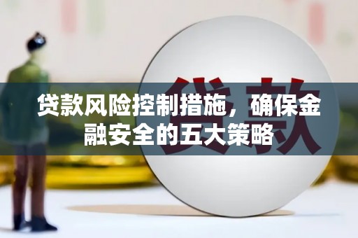 学甲贷款风险控制措施，确保金融安全的五大策略