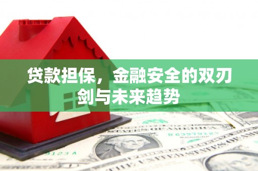 学甲贷款担保，金融安全的双刃剑与未来趋势