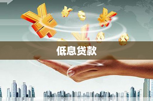 学甲低息贷款