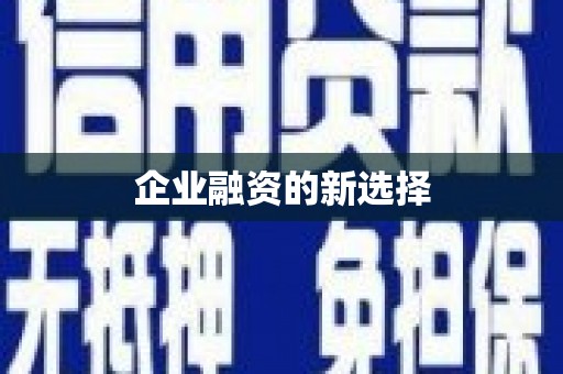 学甲企业融资的新选择