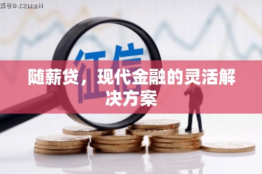 学甲随薪贷，现代金融的灵活解决方案