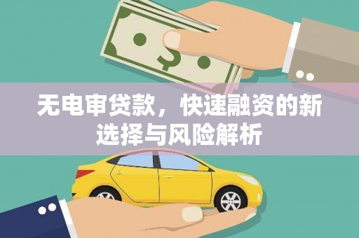 学甲无电审贷款，快速融资的新选择与风险解析