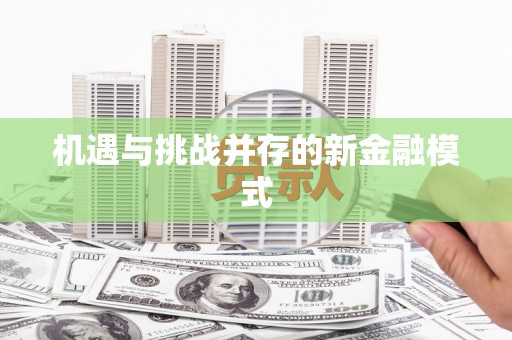 学甲机遇与挑战并存的新金融模式