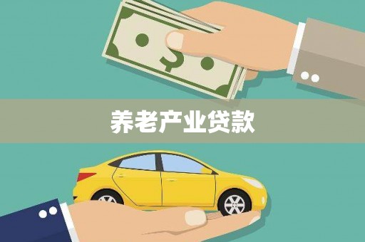 学甲养老产业贷款