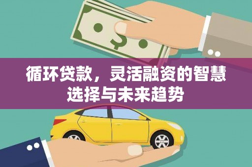 学甲循环贷款，灵活融资的智慧选择与未来趋势