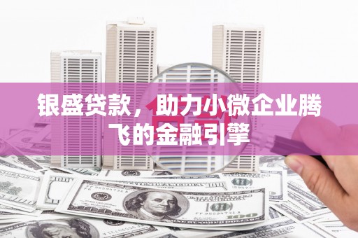 学甲银盛贷款，助力小微企业腾飞的金融引擎