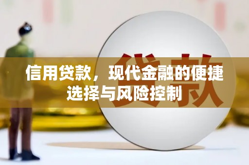 学甲信用贷款，现代金融的便捷选择与风险控制