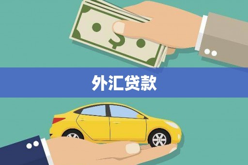 学甲外汇贷款