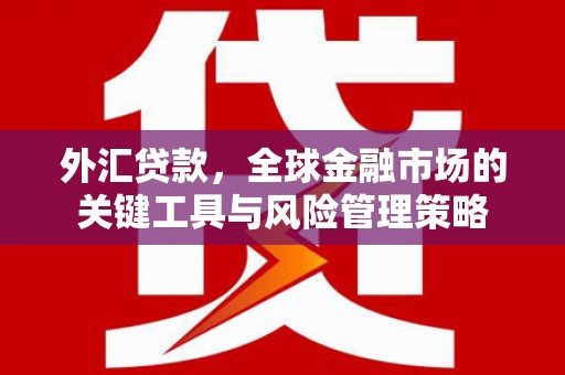 学甲外汇贷款，全球金融市场的关键工具与风险管理策略