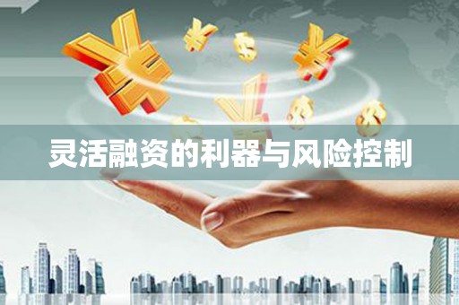 学甲灵活融资的利器与风险控制