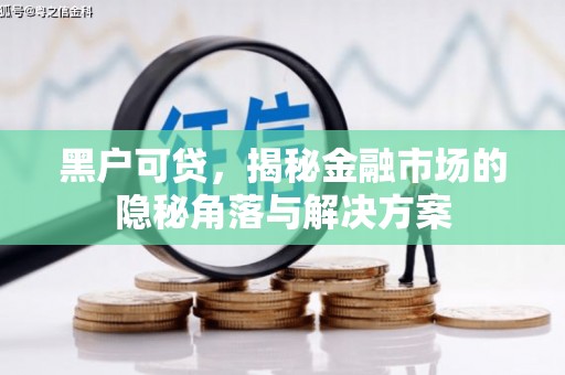 学甲黑户可贷，揭秘金融市场的隐秘角落与解决方案