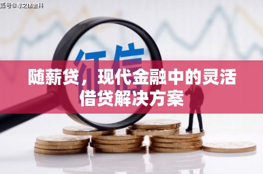 学甲随薪贷，现代金融中的灵活借贷解决方案