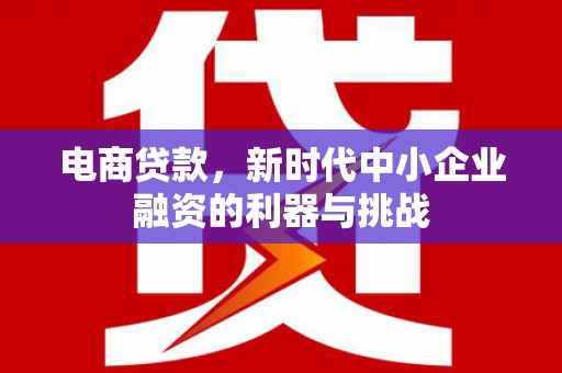学甲电商贷款，新时代中小企业融资的利器与挑战