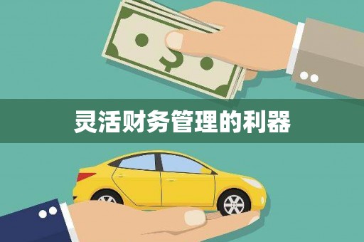 学甲灵活财务管理的利器