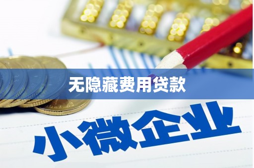 学甲无隐藏费用贷款