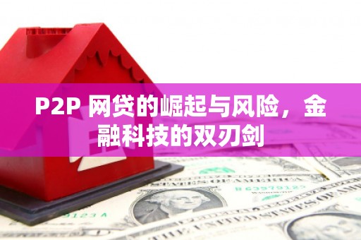 学甲P2P 网贷的崛起与风险，金融科技的双刃剑