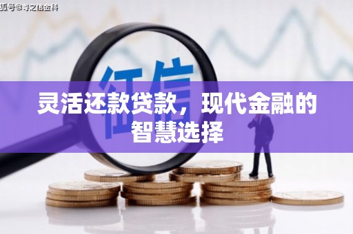 学甲灵活还款贷款，现代金融的智慧选择