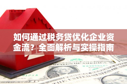 学甲如何通过税务贷优化企业资金流？全面解析与实操指南