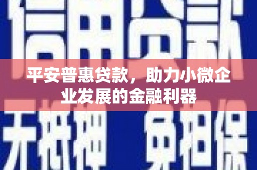 学甲平安普惠贷款，助力小微企业发展的金融利器