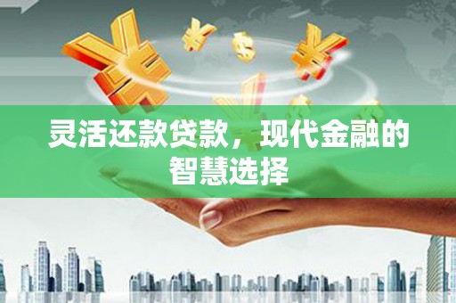 学甲灵活还款贷款，现代金融的智慧选择