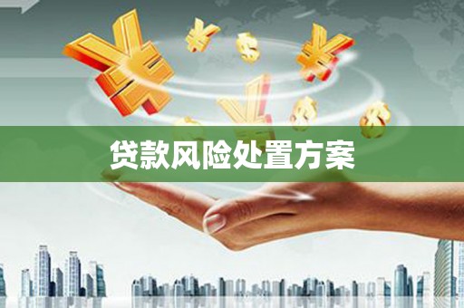 学甲贷款风险处置方案