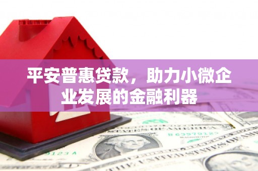 学甲平安普惠贷款，助力小微企业发展的金融利器