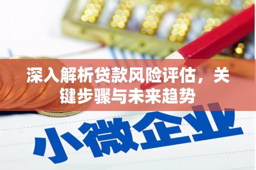 学甲深入解析贷款风险评估，关键步骤与未来趋势