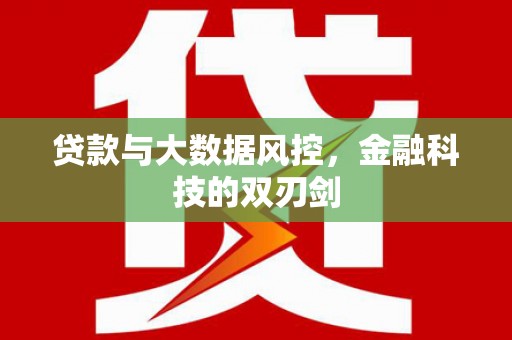学甲贷款与大数据风控，金融科技的双刃剑