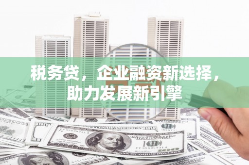 学甲税务贷，企业融资新选择，助力发展新引擎