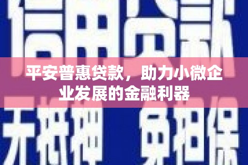 学甲平安普惠贷款，助力小微企业发展的金融利器