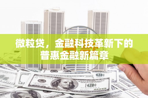 学甲微粒贷，金融科技革新下的普惠金融新篇章