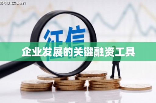 学甲企业发展的关键融资工具