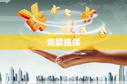 学甲贷款担保
