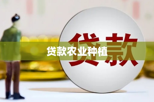 学甲贷款农业种植