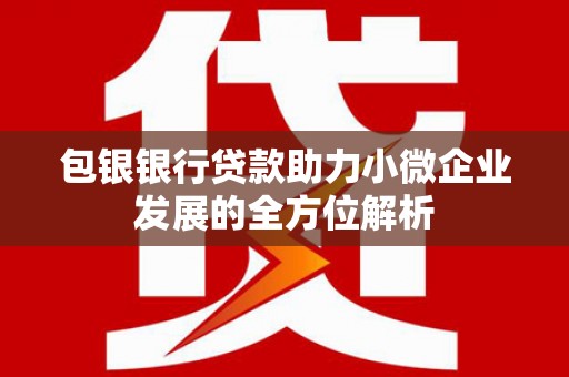 学甲包银银行贷款助力小微企业发展的全方位解析