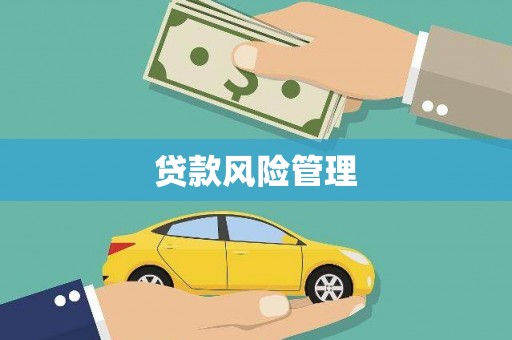 学甲贷款风险管理