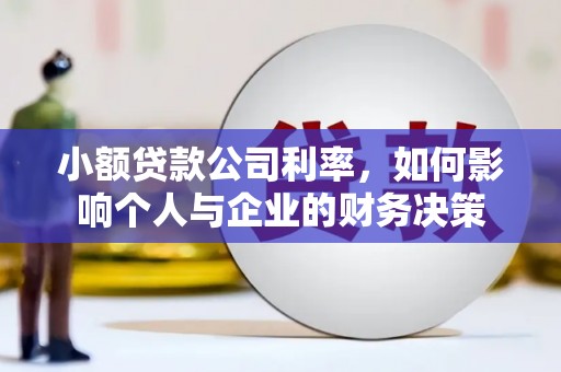 学甲小额贷款公司利率，如何影响个人与企业的财务决策