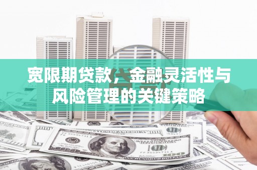 学甲宽限期贷款，金融灵活性与风险管理的关键策略