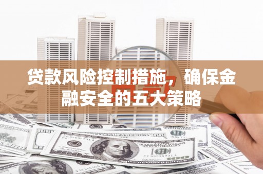 学甲贷款风险控制措施，确保金融安全的五大策略